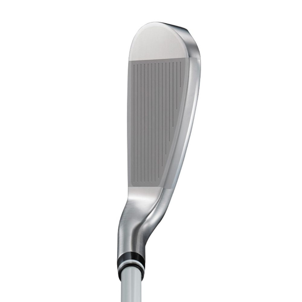 XXIO 14 Ladies Irons